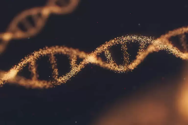 HIV疫苗的研發方向可能將以中和抗體為主