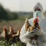 用廣泛中和抗體降低H5N1禽流感重症風險？